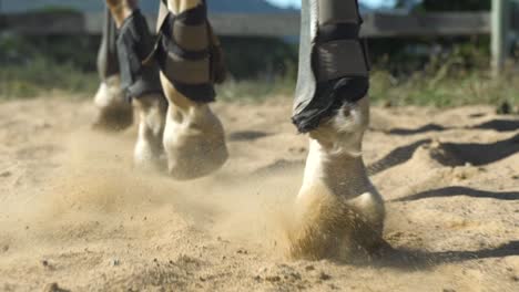 Close-up-shot-of-a-horse's-legs-while-trotting-on-sand-in-a-rounded-pen