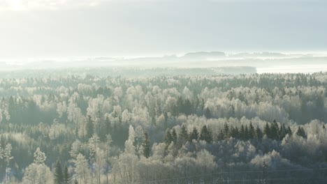 Frostiger-Wald.-Kalter-Wintertag.-Litauen-Landschaft