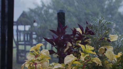 Stormy-day-outdoors-with-water-droplets-falling-on-plants-in-slow-motion