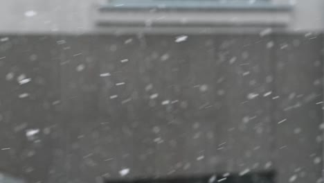 Slow-motion-of-snow-in-spring.-Blurred-background