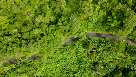 Blick-Von-Oben-Auf-Die-Asphaltstraße-Und-Die-üppigen-Grünen-Bäume-Im-Berg-In-Bali,-Indonesien