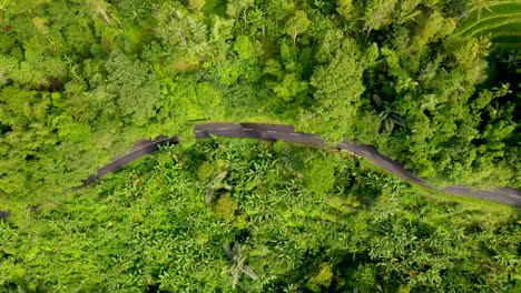 Vehicles-Driving-On-Mountain-Road-With-Dense-Foliage-And-Rice-Field-Terraces-In-Bali,-Indonesia