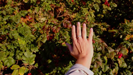 Simple-but-beautiful-golden-ring-on-finger-on-young-woman-with-greenery-background