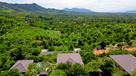 Luftaufnahme-Der-Balinesischen-Hausstrukturen-Im-Grünen-Tal-In-Indonesien