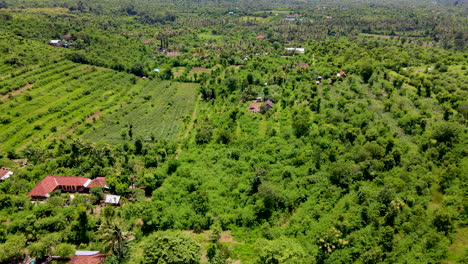 Panorama-Der-Vegetation-Und-Der-Balinesischen-Häuser-Im-Tal-In-Indonesien