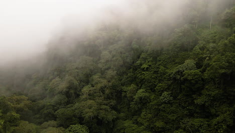 Aerial-View-Of-Foggy-Tropical-Forest-In-Bali,-Indonesia---drone-shot