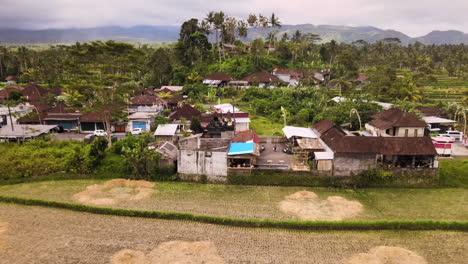 Rural-Buildings-Near-The-Rice-Fields-With-Heaps-Of-Dry-Straw-At-Daylight-In-Bali,-Indonesia