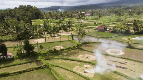 Granjero-Quemando-Paja-De-Arroz-Seca-En-El-Campo-En-Un-Día-Soleado-En-Bali,-Indonesia