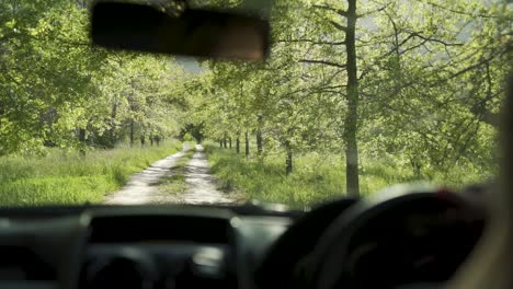 Slow-motion-shop-of-car-driving-through-a-luscious-green-wooded-forest
