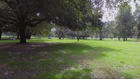 Low-altitude-drone-flight-through-trees-in-city-park