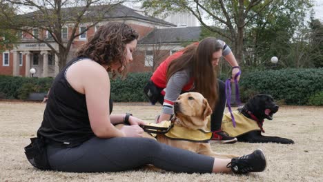 Two-students-sit-with-their-happy-guide-dog-puppies-on-campus-on-a-fall-day,-petting-them-and-giving-them-lots-of-love-and-affection