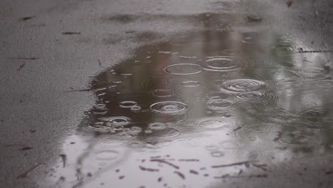 Slow-motion-footage-of-light-rain-on-asphalt