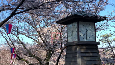 A-tower-clock-at-Asukayama-Park-with-fuchsia-cherry-blossoms-and-paper-lamps