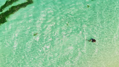 Aerial-footage-of-a-model-swimming-in-the-crystal-clear-waters-of-the-Caribbean-sea-in-Petit-St-Vincent