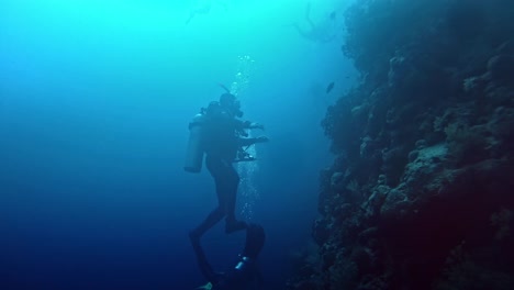 Silhouette-of-a-diver-moving-in-deep-blue