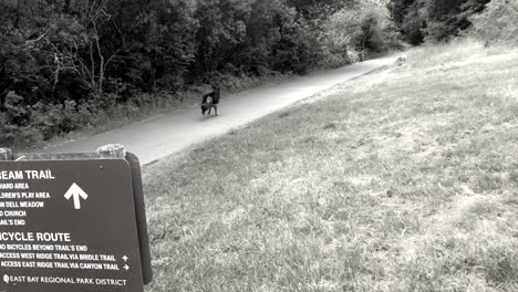 Zeitlupe---Schwarz-Weiß---Erinnerung-An-Einen-Deutschen-Schäferhund,-Der-Glücklich-Durch-Die-Oakland-Hügel-Läuft
