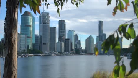 Schöne-Pull-Fokus-Aufnahme-Durch-Bäume,-Um-Sich-Auf-Das-Zentrale-Geschäftsviertel-Von-Brisbane-Auf-Der-Anderen-Seite-Des-Friedlichen-Brisbane-River-Zu-Konzentrieren