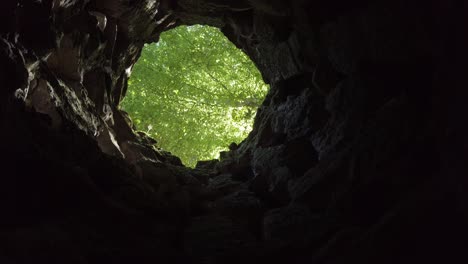 Rotating-view-from-bottom-of-Iniciatic-Well-to-green-canopy-overhead-in-Sintra,-Portugal