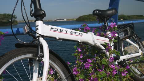 Foldable,-white-Carrera-bike-leaning-on-railing-beside-a-lake-on-beautiful-sunny-day