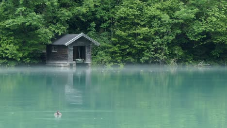 Zeitraffer-Von-Mysteriösem-Nebel-Um-Ein-Kleines-Bootshaus-An-Einem-See-Im-Wald
