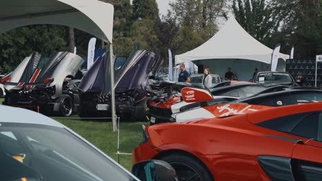 Mclaren-Senna-and-Pagani-Parked-with-Other-Super-Cars-and-Hyper-Cars