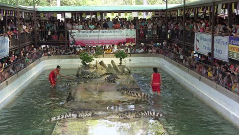 Turistas-Viendo-El-Espectáculo-De-Cocodrilos-En-La-Granja-Y-Zoológico-De-Cocodrilos-De-Samut-Prakan-En-Samut-Prakan,-Tailandia