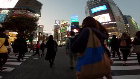 Menschen-Beginnen,-über-Den-Leeren-Shibuya-Zebrastreifen-Zu-Laufen