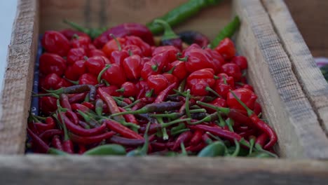 Chile-Peppers-in-Basket-at-Farmers-Market
