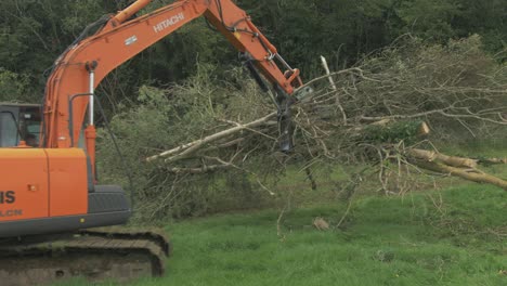 Excavator-drives-carrying-large-load-of-tree-using-bucket-and-hydraulic-thumb