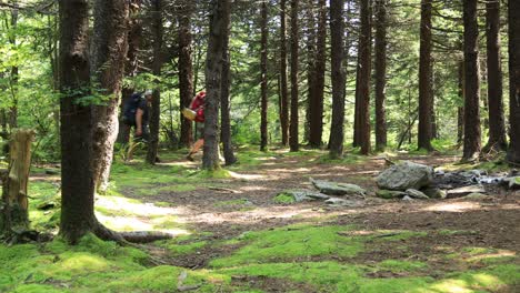 Eine-Mann-Frau-Wanderung-Auf-Dem-Huckleberry-Trail,-Der-Sich-Im-Nationalen-Erholungsgebiet-Spruce-Knob-Seneca-Rocks-In-West-Virginia-Befindet