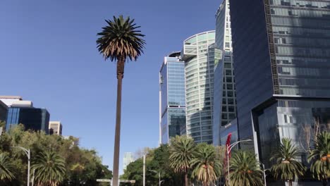 Tilt-Up-Shot-of-the-Roundabout-of-the-Palm-with-Some-Buildings-in-Paseo-de-la-Reforma-Avenue-on-the-Background,-Mexico-CIty