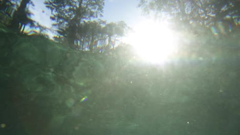 Sonne-Scheint-Unter-Wasser-In-Einem-Wald-In-Florida