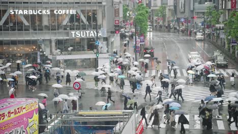 Menschenmenge-Mit-Regenschirmen,-Die-Im-Regen-An-Der-Shibuya-Kreuzung-In-Tokio-Spazieren-Gehen---Nahaufnahme,-Statische-Aufnahme