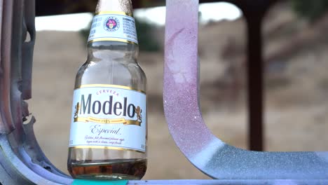 Modelo-Trinken-4k-Alkohol-Hd