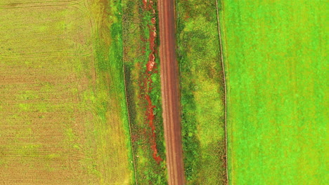 Aerial-shot-of-a-train-line-in-the-countryside,-looking-straight-down-and-following,-bright-daylight