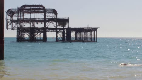 Schwimmen-Neben-Brighton-West-Pier