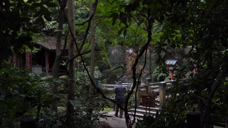 View-out-on-businessman-inside-Japanese-forest-next-to-typical-shrine