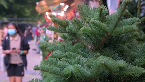 A-close-up-detail-on-Christmas-pine-trees-for-home-decoration-are-seen-for-sale-as-pedestrians-walk-by-in-the-background-in-Hong-Kong