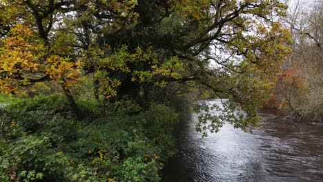 River-Liffey-Im-Spätherbst-In-Der-Nähe-Von-Dublin-In-Irland