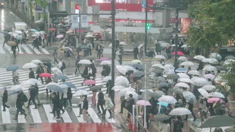 Asian-People-With-Umbrella-Crossing-At-Shibuya-On-A-Rainy-Day-In-Tokyo,-Japan