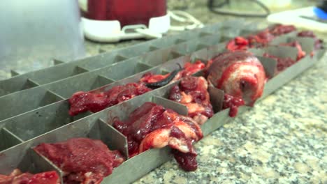 Samples-in-slaughterhouse-laboratory-for-horse-meat-industry