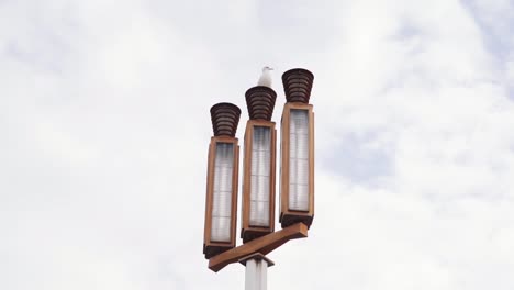 Bird-sitting-on-top-of-a-street-lamp