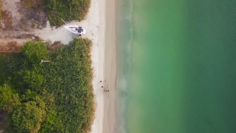 4K-Drohne-Fliegt-über-Eine-Gruppe-Von-Menschen,-Die-Mit-Bäumen-Am-Strand-Spazieren-Gehen