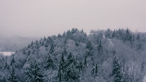 Paisaje-Invernal-Brumoso---Drone-Volando-4k---Montañas---árboles,-Ríos,-Nevados