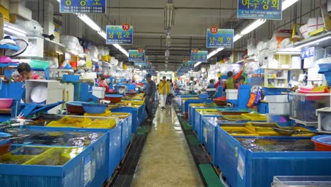 Händler-Machen-Sushi-Aus-Lebendem-Fisch-Auf-Dem-Koreanischen-Fischmarkt-In-Busan-Menschen-Kaufen-Und-Verkaufen-Frische-Meeresfrüchte-Und-Fisch-Auf-Dem-Fischmarkt-In-Südkorea