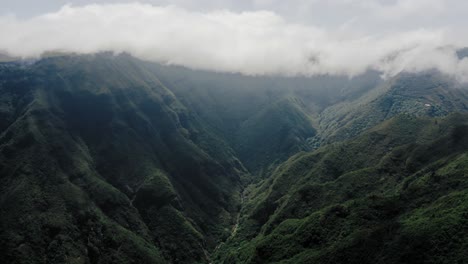 Aerial-video-footage-of-tropical-rainforest-on-Madeira-with-moving-clouds-and-lush-vegetation,-push-in-movement