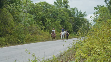 Slow-Motion-of-Group-Horseback-Riding-Along-the-Road-Outside-Tropical-Forest-in-Cancun,-Mexico