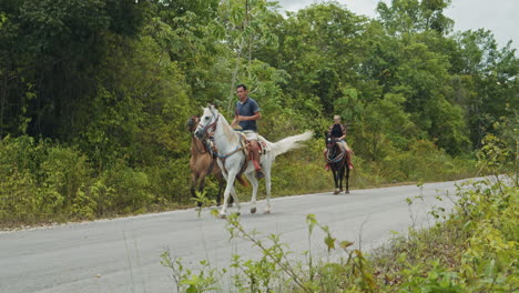 Slow-Motion-of-Group-Horseback-Riding-Along-the-Road-Outside-Tropical-Forest-in-Cancun,-Mexico
