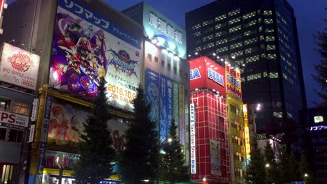 Hirose-Entertainment-Yard-or-Taito-HEY-in-the-Akihabara-quarter-with-Sega-and-other-gaming-center-stores-at-night,-Handheld-street-shot
