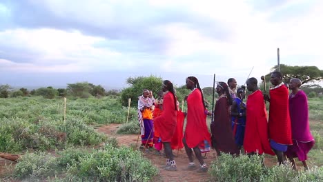 Massai-Krieger-Führen-Am-Nachmittag-Kulturelle-Tänze-Für-Safarigäste-Auf